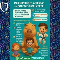 Programa educativo Hollytree