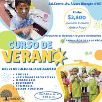 Curso de verano Colegio Hollytree